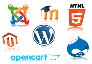 Web Design/Application Development